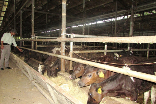 Toàn tỉnh xây dựng ít nhất 150 cơ sở an toàn dịch bệnh động vật