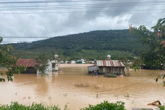 Hơn 500 ha rau màu bị ngập úng do mưa lũ