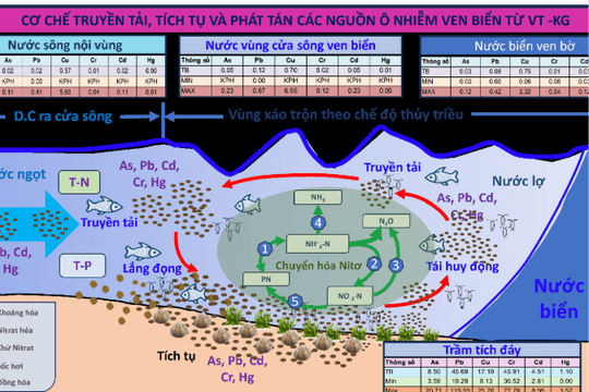 Giải mã bài toán ô nhiễm ven biển Nam Bộ