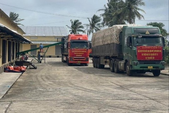 Chính phủ hỗ trợ 700 tỷ đồng, xuất cấp 4.000 tấn gạo và vật tư cứu hộ cho 4 tỉnh bị mưa lũ