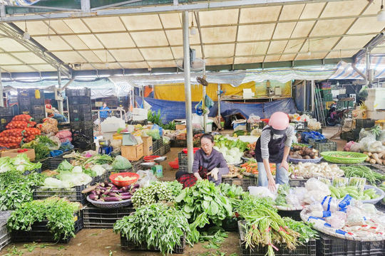 Lâm Đồng nỗ lực đảm bảo nguồn cung rau củ sau mưa lũ
