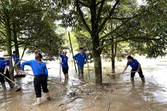 Tuổi trẻ Lâm Đồng đồng loạt ra quân hưởng ứng Ngày Chủ nhật xanh toàn quốc lần thứ VIII