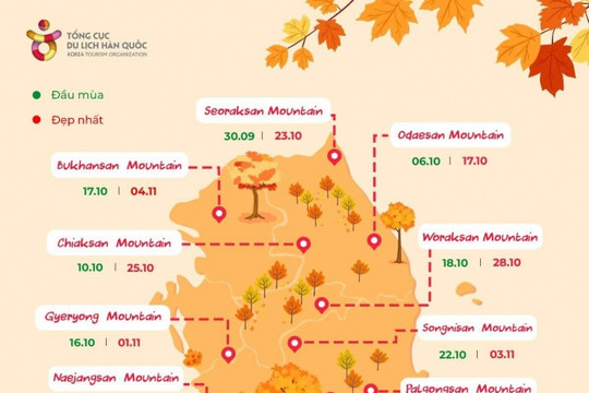 Hàn Quốc mùa thu: Cẩm nang săn lá vàng tại các điểm đến nổi bật