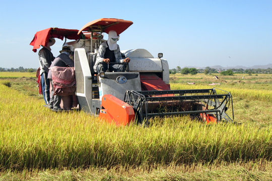 Sức mạnh đoàn kết từ cộng đồng DTTS ở Hàm Thuận Bắc