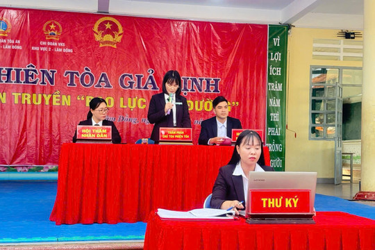 Hơn 800 học sinh dự phiên tòa giả định về phòng chống bạo lực học đường