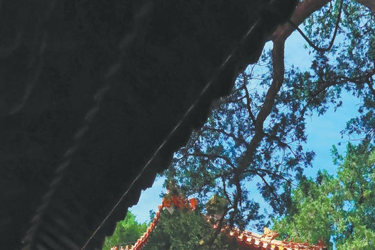 Vườn Càn Long: Khám phá bí mật 100 năm trong Tử Cấm Thành
