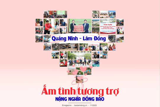 Quảng Ninh - Lâm Đồng: Ấm tình tương trợ, nặng nghĩa đồng bào