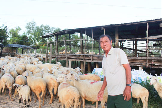 Lâm Đồng hướng tới phát triển chăn nuôi hiện đại, an toàn và bền vững