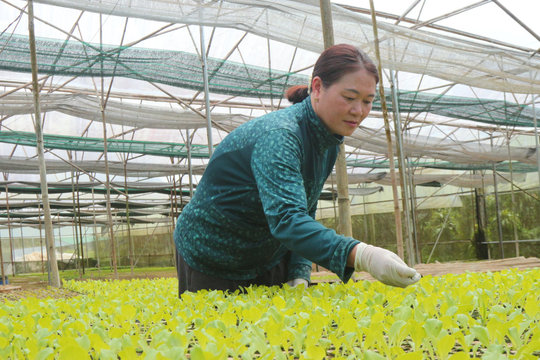 Ðồng hành phát triển kinh tế