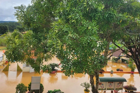 Lâm Đồng chủ động đảm bảo an toàn trường học trước diễn biến áp thấp nhiệt đới