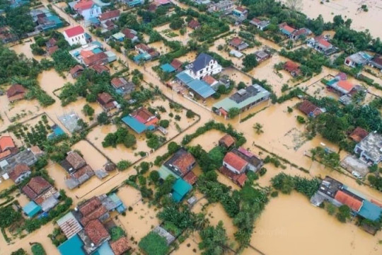 Khẩn trương chi trả bảo hiểm cho người dân, doanh nghiệp chịu ảnh hưởng bởi lũ lụt