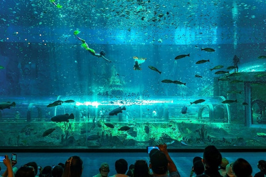 Phú Quốc: Hướng dẫn khám phá VinWonders, Safari và Grand World