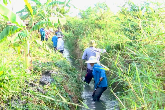 Hồng Thái hoàn thiện hạ tầng, nâng tầm nông nghiệp