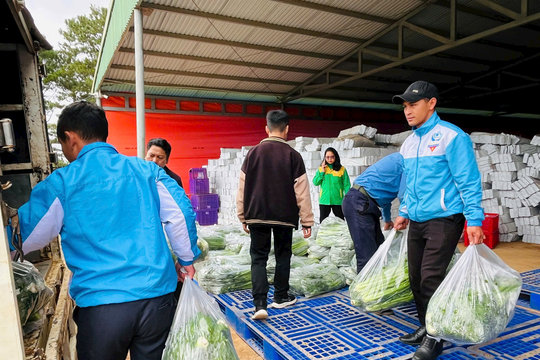 Lâm Đồng gửi hơn 12 tấn nông sản và hàng trăm triệu đồng hỗ trợ vùng lũ Khánh Hòa