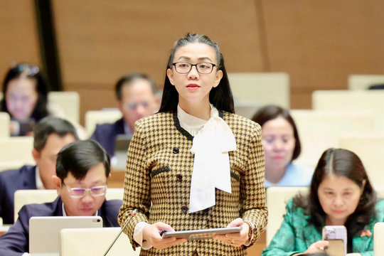 ĐBQH Lâm Đồng ủng hộ thí điểm áp dụng trực tiếp tiêu chuẩn quốc tế