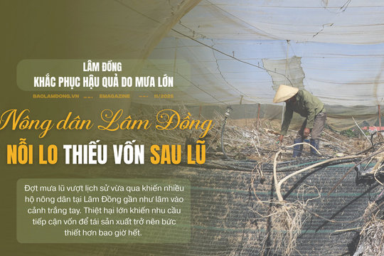 Nông dân Lâm Đồng nỗi lo thiếu vốn sản xuất sau lũ