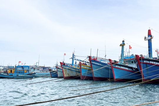 Tàu cá công suất lớn ở Phú Quý được vào đất liền tránh bão số 15