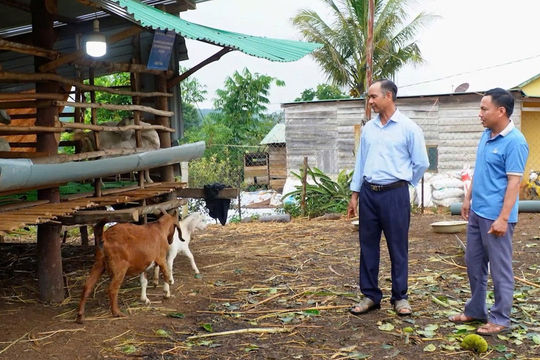 Ông K’Lớ - tấm gương tiên phong ở Tà Đùng