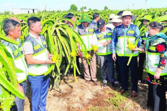 Khuyến nông về gần với nông dân