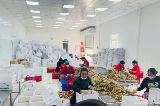 Gia tăng giá trị nông sản địa phương, cung ứng các OCOP tiêu biểu