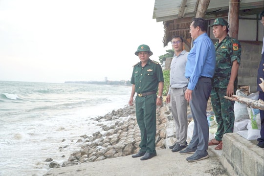 Chính ủy Bộ đội Biên phòng Lâm Đồng kiểm tra sạt lở và công tác ứng phó bão tại Mũi Né