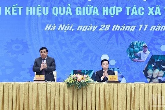 Kinh tế tập thể cần đột phá từ liên hiệu quả giữa hợp tác xã và doanh nghiệp