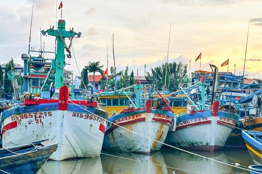 Gần 8.400 tàu thuyền Lâm Đồng đang neo đậu tránh bão an toàn