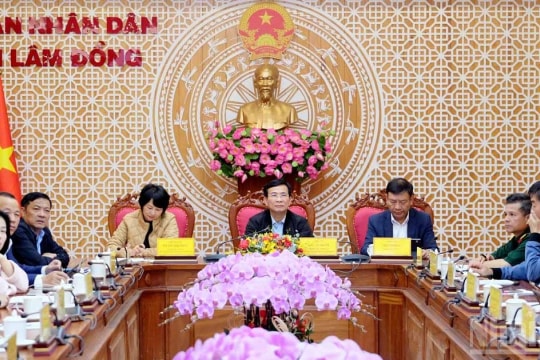 Lâm Đồng chủ động phòng tránh và ứng phó bão số 15