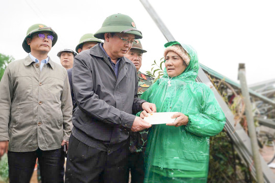 Lâm Đồng tăng tốc khắc phục hậu quả thiên tai, bảo đảm an sinh và phục hồi sản xuất