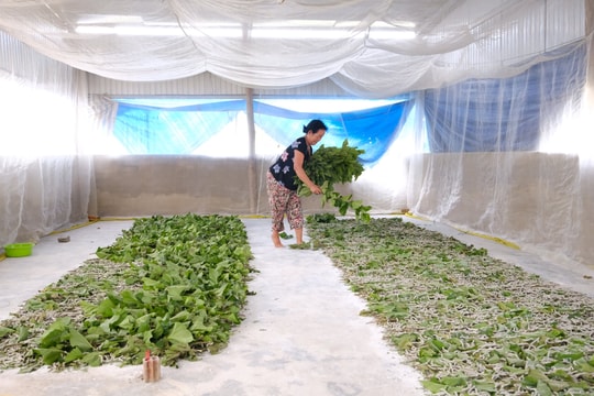 Ðiểm tựa cho đồng bào DTTS vươn lên