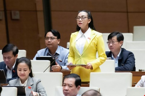 ĐBQH Lâm Đồng đề xuất mở khóa dữ liệu phục vụ người dân