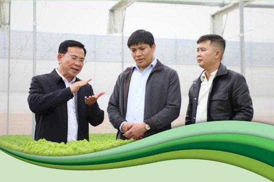 Chiều nay 2/12, Chủ tịch UBND tỉnh Lâm Đồng sẽ đối thoại với nông dân