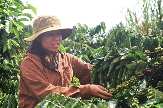 Phụ nữ Trường Xuân nỗ lực dựng xây kinh tế, đổi mới cuộc sống