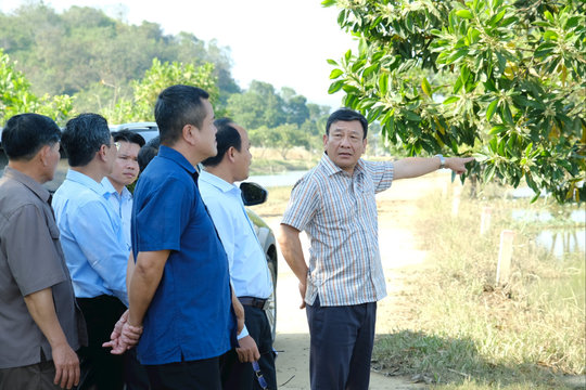 Phó Bí thư Tỉnh ủy Lâm Đồng Bùi Thắng khảo sát tình hình thiệt hại mưa lũ tại xã Cát Tiên
