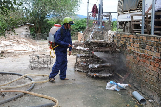 Tăng cường phòng, chống dịch bệnh gia súc, gia cầm vụ đông xuân