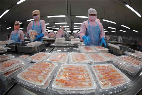 10 sự kiện kinh tế Việt Nam nổi bật ngày 3/12/2025