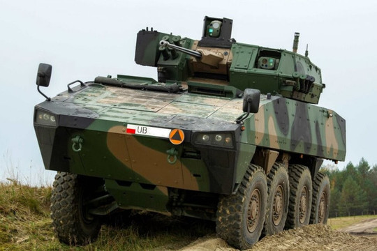 Stryker 'miễn phí' đe dọa kế hoạch Rosomak của Ba Lan