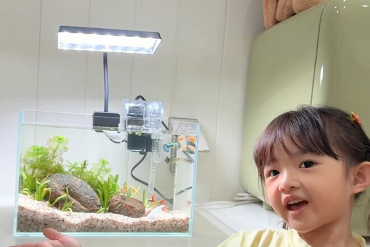 Con gái Đông Nhi tự tin giới thiệu 'thành viên mới' của gia đình