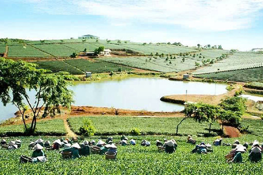 Hội thảo quốc tế Chiến lược và tầm nhìn mới cho phát triển Cao nguyên Di Linh