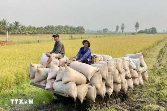 Thiệt hại 97.000 tỷ đồng do thiên tai: Tăng trưởng ngành nông nghiệp có đạt mục tiêu?
