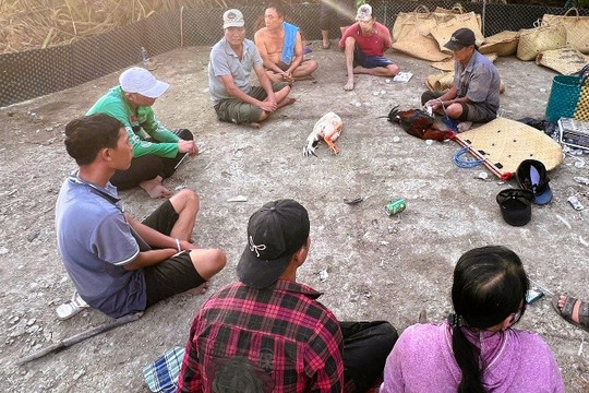 Triệt phá sòng bạc quy mô lớn, hoạt động khu vực giáp ranh thành phố Hồ Chí Minh