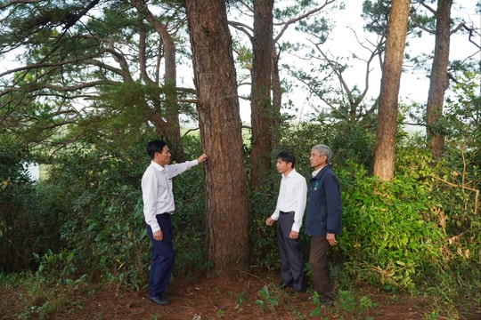 Trường Xuân: Siết chặt kỷ cương trong quản lý, bảo vệ rừng