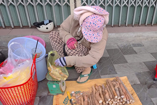 Hoài sơn - cây dược liệu giá trị kinh tế cao