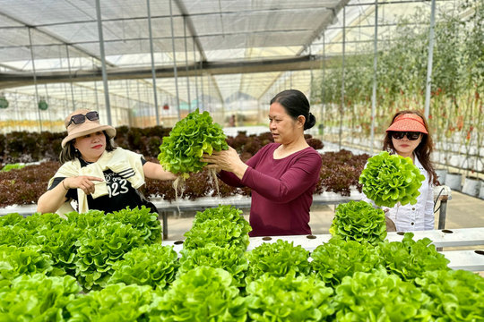Lâm Đồng kiến tạo nông thôn mới bền vững