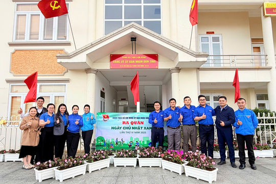 Tuổi trẻ UBND tỉnh Lâm Đồng đồng loạt chung tay làm mới cảnh quan công sở