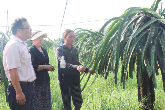Tiếp sức phụ nữ Hàm Tân làm kinh tế