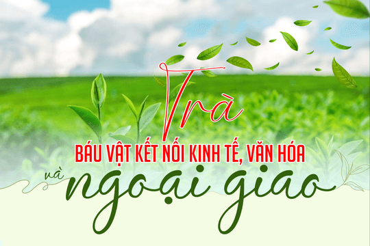 Trà - Báu vật kết nối kinh tế, văn hóa và ngoại giao