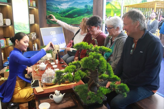 Lan tỏa sắc, hương, vị trà Việt bên hồ Xuân Hương