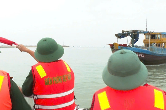 Ngư dân bức xúc, ngư trường kiệt quệ vì giã cào bay