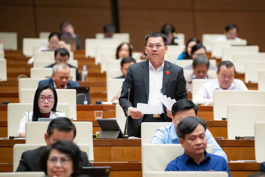 ĐBQH Lâm Đồng góp ý về cơ chế đặc thù cho các đô thị đầu tàu của cả nước